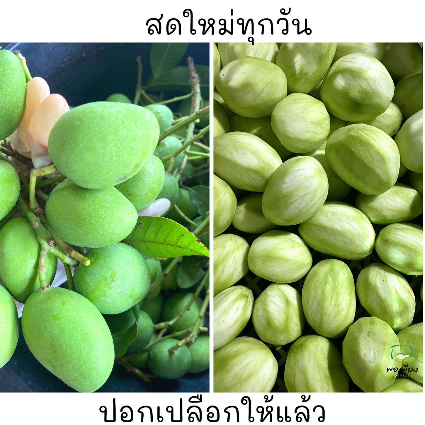 มะม่วงเบาดอง 300 กรัม รูปที่ 4