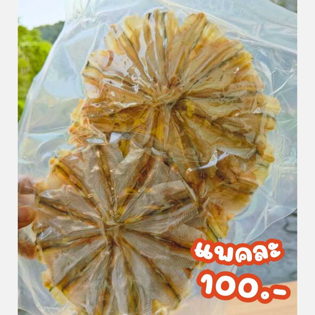 ปลาแมว (แบบวง) รูปที่ 2