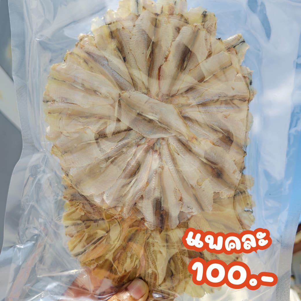 ปลาแมว (แบบวง) รูปที่ 4