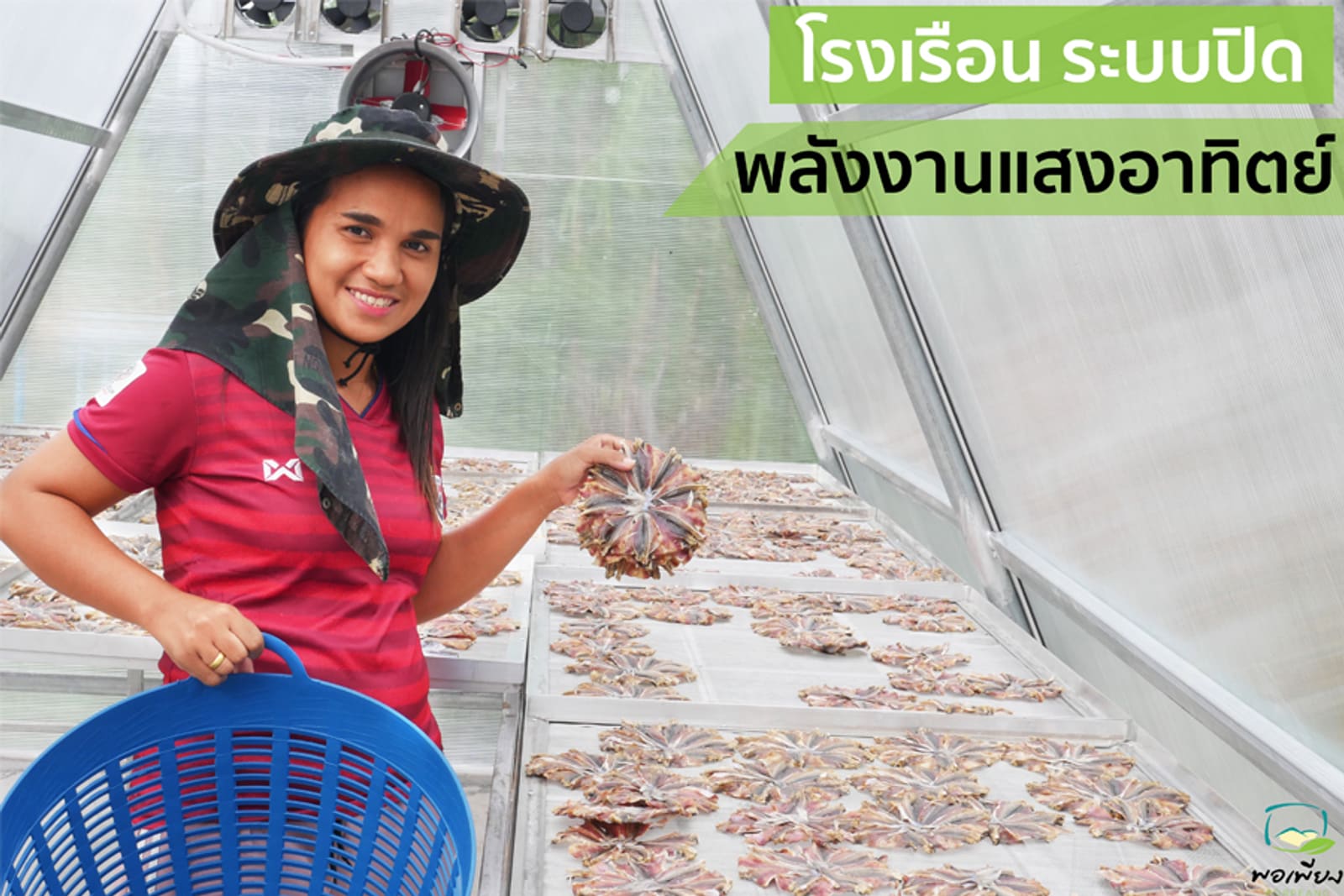 โรงเรือนระบบปิดพลังงานแสงอาทิตย์สำหรับตากปลา