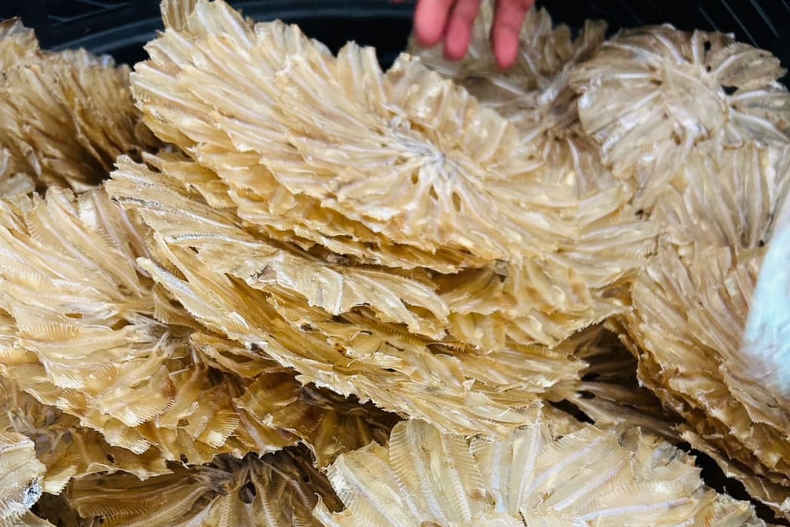 ปลาเกล็ดขาวแห้งแบบวงในถาด